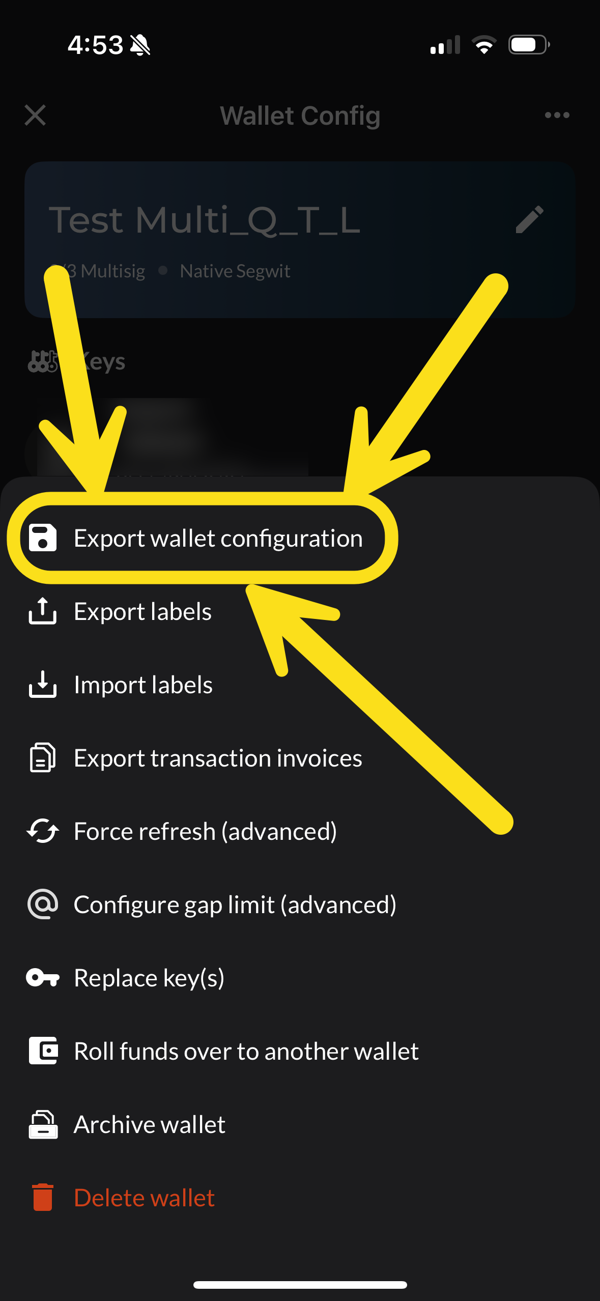 Nunchuk export